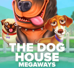Dog House
